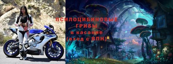 ПСИЛОЦИБИНОВЫЕ ГРИБЫ Пересвет