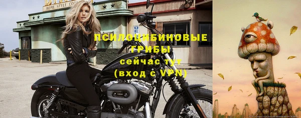 прущая мука Алзамай